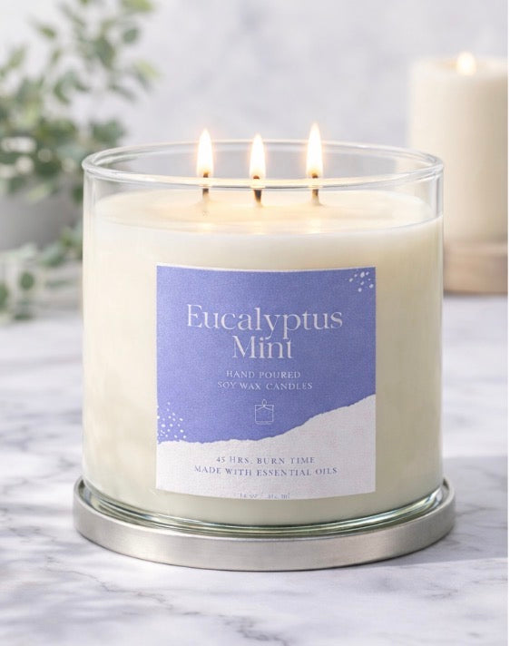 Eucalyptus Mint Soy 3- Wick Candle
