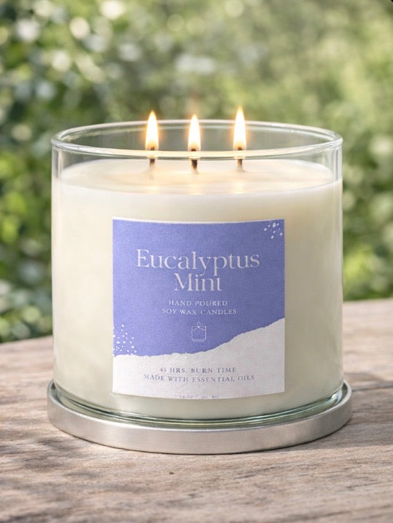 Eucalyptus Mint Soy 3- Wick Candle