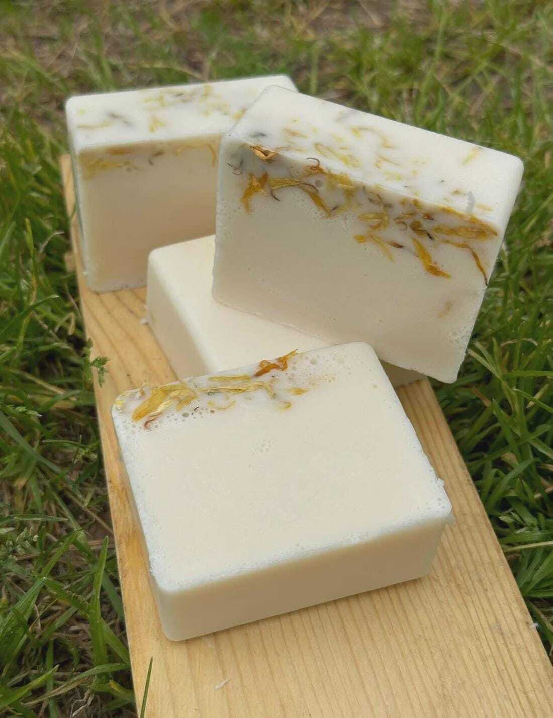 Calendula Bar